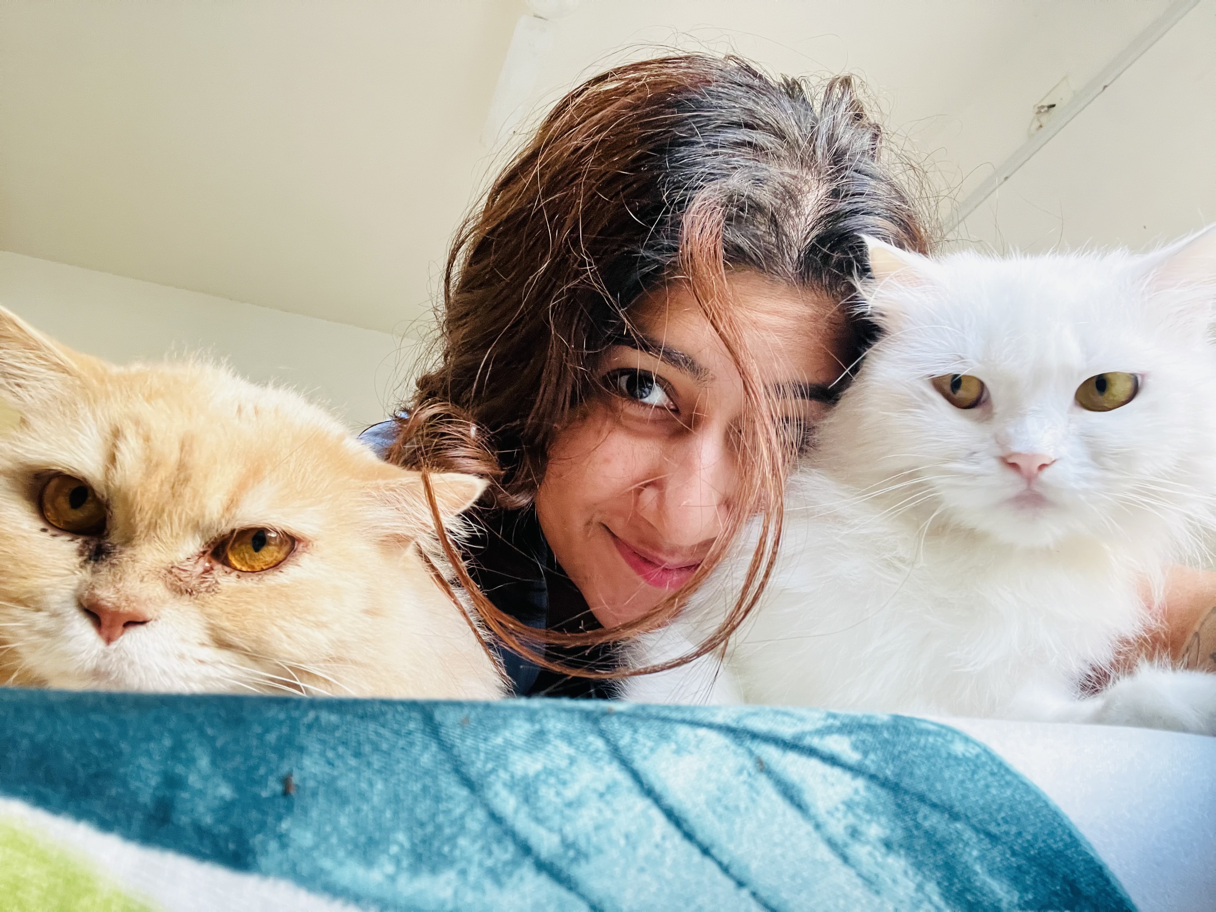 Priya with her cats Charlie and Kitlu