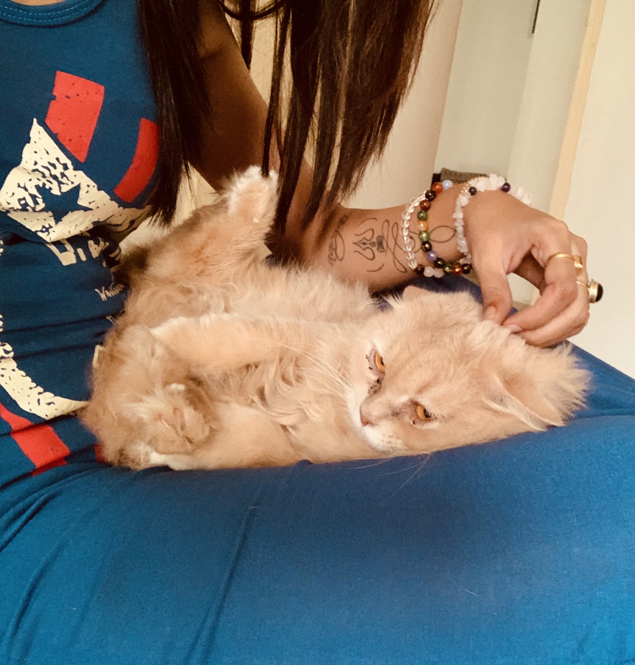 Priya feeding an elephant