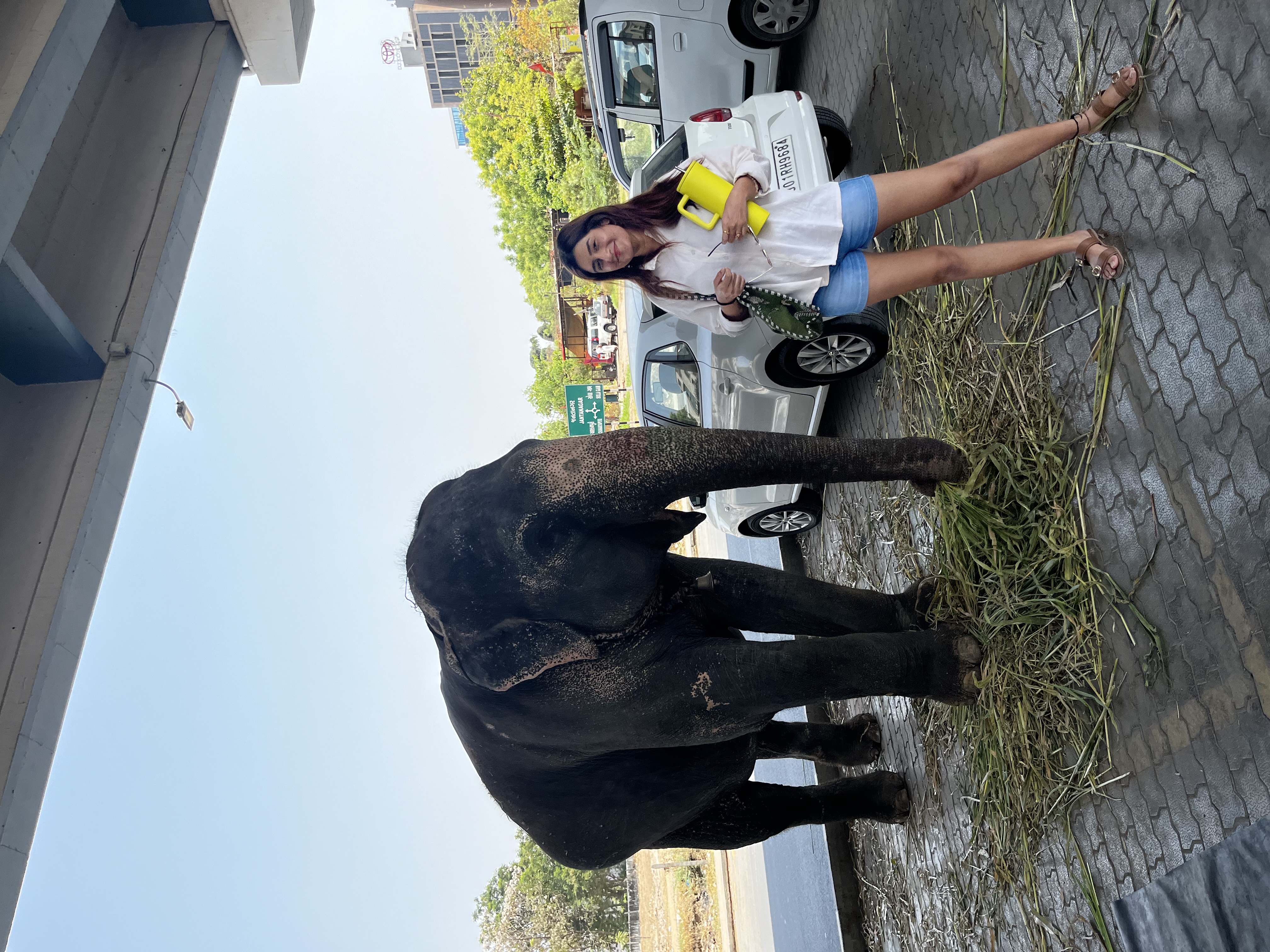 Charlie cuddling in Priya's lap