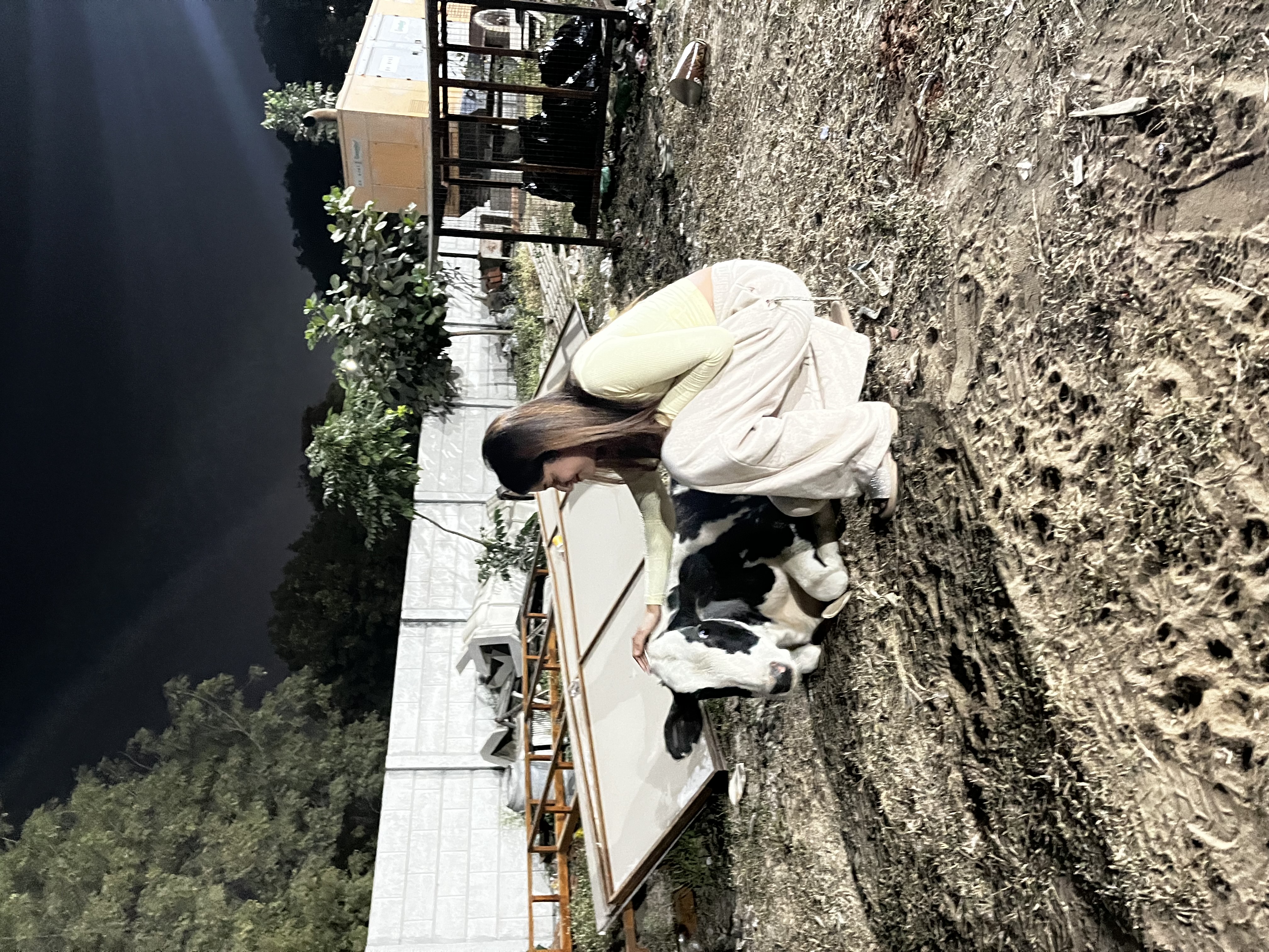 Priya with a calf in the mountains