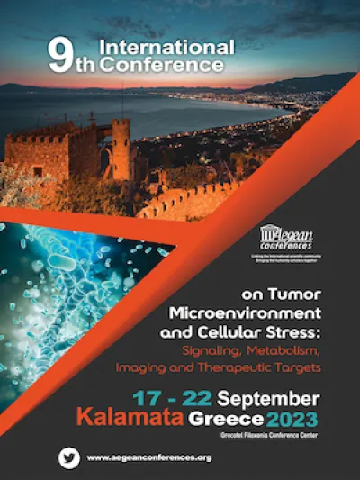Conference poster on Tumor Microenvironment and Cellular Stress